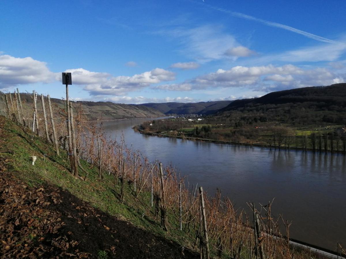 Pension Pauly Boppard Dış mekan fotoğraf